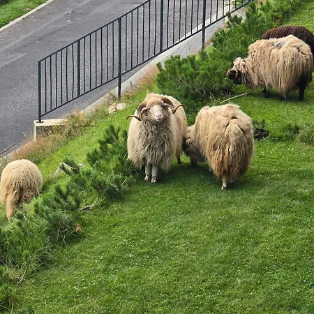 Aurum Sky Appartement *