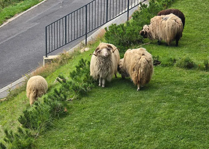 Aurum Sky Appartement *